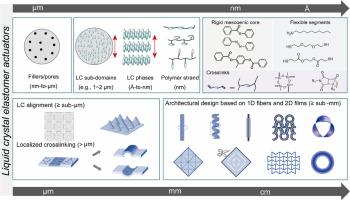 Liquid crystal elastomers for actuation: A perspective on structure-property-function relation