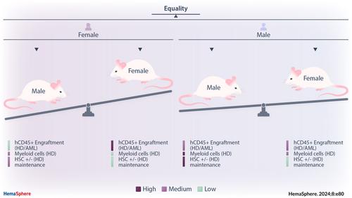 Influence of donor–recipient sex on engraftment of normal and leukemia stem cells in xenotransplantation