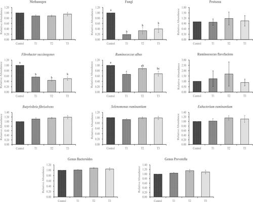 Effect of rice bran fermented with Ligilactobacillus equi on in vitro fermentation profile and microbial population