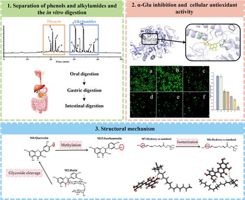 Effect of Phenol and Alkylamide Interaction on α-Glucosidase Inhibition and Cellular Antioxidant Activity during In Vitro Digestion: Using Szechuan Pepper (Zanthoxylum genus) as a Model