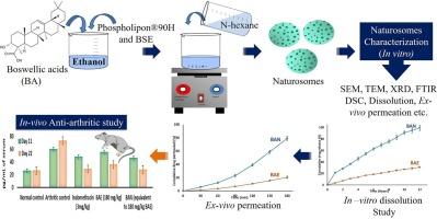 QbD-guided phospholipid-tagged nanonized boswellic acid naturosomal delivery for effective rheumatoid arthritis treatment