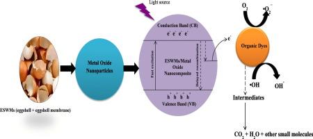 Eggshell waste materials-supported metal oxide nanocomposites for the efficient photocatalytic degradation of organic dyes in water and wastewater: A review