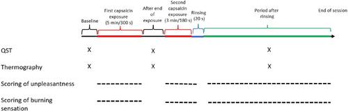 Do milk proteins relieve capsaicin-induced burning sensation in the oral cavity?