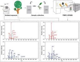 Characterizing leaf-deposited particles: Single-particle mass spectral analysis and comparison with naturally fallen particles