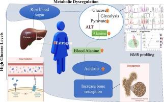 Unveiling novel metabolic alterations in postmenopausal osteoporosis and type 2 diabetes mellitus through NMR-based metabolomics: A pioneering approach for identifying early diagnostic markers