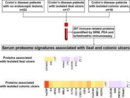 Serum proteome signatures associated with ileal and colonic ulcers in Crohn's disease