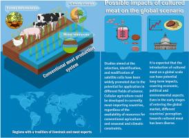 Perspectives on cultured meat in countries with economies dependent on animal production: A review of potential challenges and opportunities