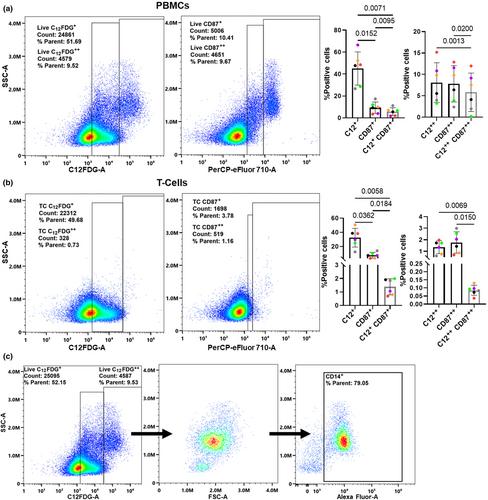 Clinical validation of C12FDG as a marker associated with senescence and osteoarthritic phenotypes