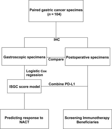 Gastric cancer immune microenvironment score predicts neoadjuvant chemotherapy efficacy and prognosis