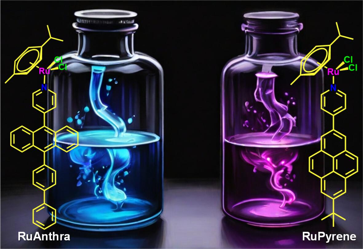 Organometallic ruthenium complexes derived from anthracene and pyrene chromophores: Synthesis and photophysical properties