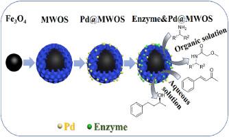 Magnetic wrinkled organosilica-based metal-enzyme integrated catalysts for enhanced chemoenzymatic catalysis