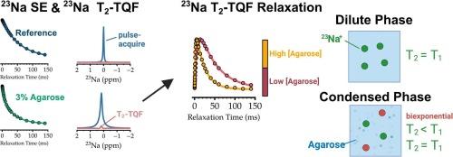 Mobility of sodium ions in agarose gels probed through combined single- and triple-quantum NMR