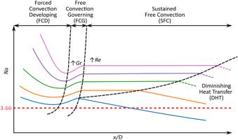 The local heat transfer characteristics associated with mixed convective developing flow through a horizontal tube exposed to a uniform wall temperature boundary condition