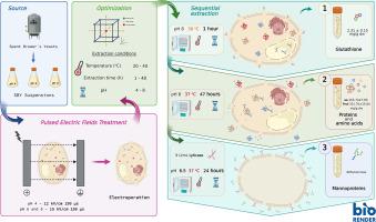 Sequential extraction optimization of compounds of interest from spent brewer's yeast biomass treated by Pulsed Electric Fields