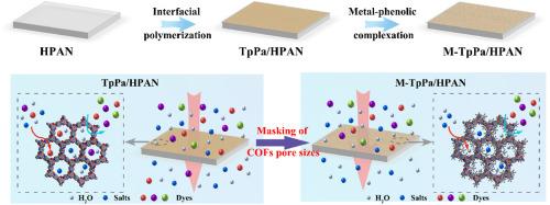 Covalent organic framework membranes reconstructed pore channels through metal-phenolic complexation for dye/salt separation