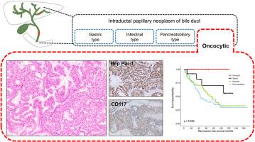 Oncocytic type has distinct immunohistochemical and recurrence-free survival than other histologic types of the intraductal papillary neoplasm of the bile duct