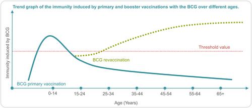 Revisiting Bacille Calmette-Guérin revaccination strategies: timing of immunization, Mycobacterium tuberculosis and non-tuberculous mycobacteria infections, strain potency and standardization of randomized controlled trials