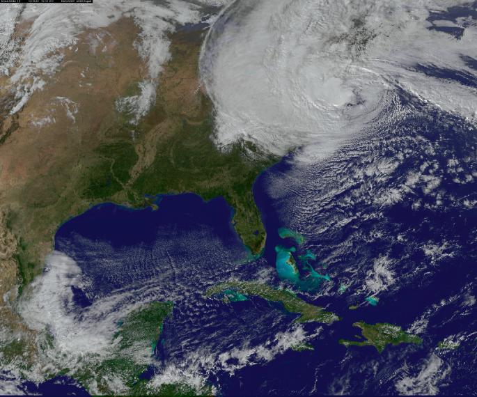 Hurricanes jeopardise carbon storage capacity