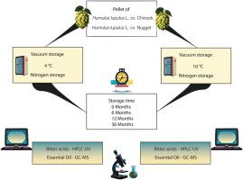 Evaluation of the stability of hop pellets subjected to different storage conditions during three years