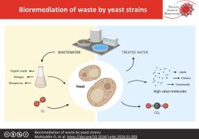 Bioremediation of waste by yeast strains