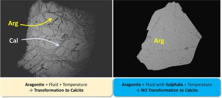 The role of sulfate in the hydrothermal replacement of aragonite single crystals by calcite