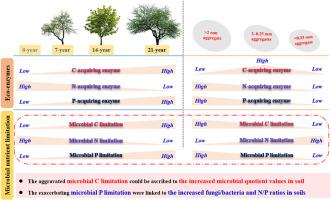 Linking soil organic carbon characteristics, nutrient stoichiometry, and microbial community to eco-enzymatic stoichiometry within aggregates in different aged walnut plantations