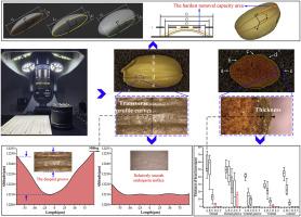 Impact of rice friction milling on the bran layer and on kernel structure