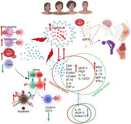 Diverse immunological dysregulation, chronic inflammation, and impaired erythropoiesis in long COVID patients with chronic fatigue syndrome