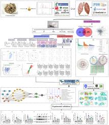 Integrating metabolomics and network pharmacology analysis to explore mechanism of Pueraria lobata against pulmonary fibrosis: Involvement of arginine metabolism pathway