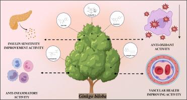 A comprehensive review on the molecular mechanism of Ginkgo biloba Linn. activity in various metabolic syndromes