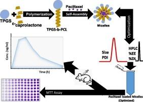 Polycaprolactone – Vitamin E TPGS micelles for delivery of paclitaxel: In vitro and in vivo evaluation