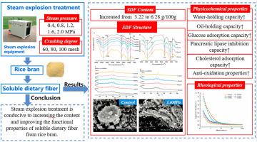 Functional properties and structure of soluble dietary fiber obtained from rice bran with steam explosion treatment