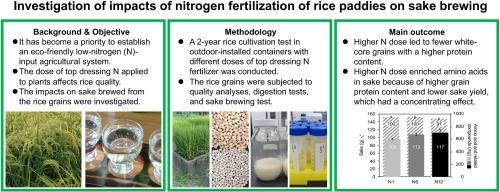 Impacts of the dose of nitrogen fertilizer applied to rice plants as top dressing on sake brewing