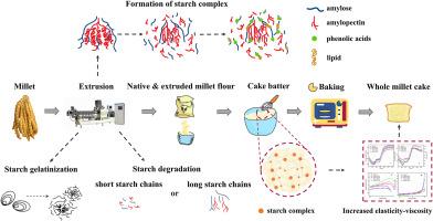 Insight into elevated quality of whole millet (Pennisetum glaucum) cake through the process of extrusion