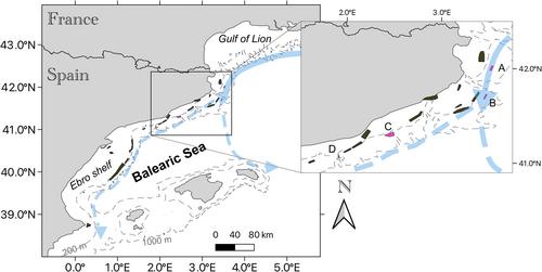 Limited spatiotemporal larval mixing of the Norway lobster from no-take marine protected areas in the northwestern Mediterranean Sea