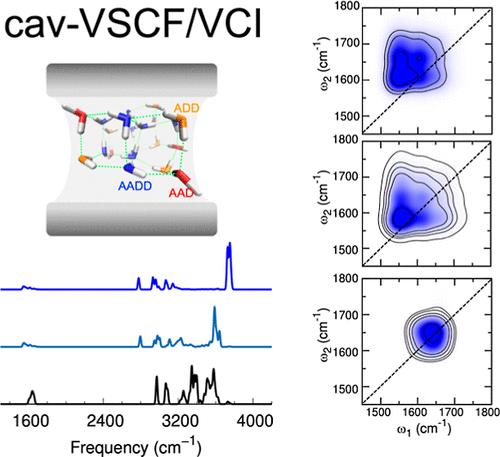 Fully Quantum Simulation of Polaritonic Vibrational Spectra of Large Cavity-Molecule System