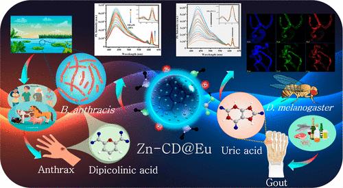 Zn-CD@Eu Ratiometric Fluorescent Probe for the Detection of Dipicolinic Acid, Uric Acid, and Ex Vivo Uric Acid Imaging