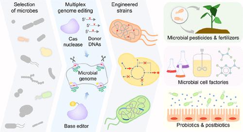 Multiplex CRISPR-Cas Genome Editing: Next-Generation Microbial Strain Engineering