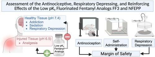 Assessment of the antinociceptive, respiratory-depressant, and reinforcing effects of the low pKa fluorinated fentanyl analogs, FF3 and NFEPP