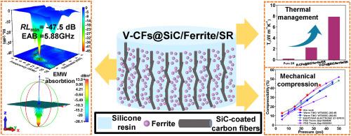 Integrating high-efficiency thermal channel construction and structural wave absorption design within vertically oriented SiC-coated carbon fibers/silicone resin composites