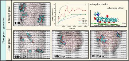 Insights into the adsorption behavior of tetracycline in various shaped carbon nanopores: Interplay between mass transfer and adsorption