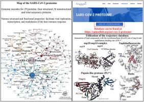 Utilization of the EpiMed Coronabank Chemical Collection to identify potential SARS-CoV-2 antivirals: in silico studies targeting the nsp14 ExoN domain and PLpro naphthalene binding site