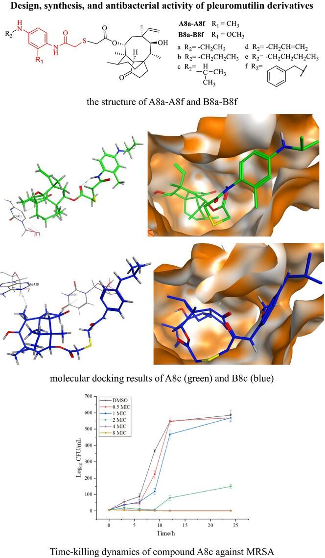 Design, synthesis, and antibacterial activity of pleuromutilin derivatives