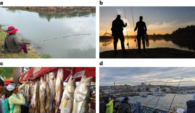 The global nutritional value of recreational inland fisheries