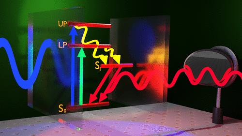 Assessing the Determinants of Cavity Polariton Relaxation Using Angle-Resolved Photoluminescence Excitation Spectroscopy