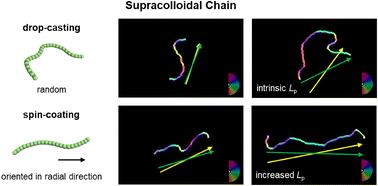 Orientation and stretching of supracolloidal chains of diblock copolymer micelles by spin-coating process†