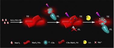 A dual-signal optical sensing platform of CDs–MnO2 NS composites for facile detection of ascorbic acid based on a combination of Tyndall effect scattering and fluorescence†