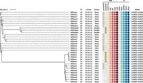 Antimicrobial Resistance and Genomic Characterization of Salmonella Isolated from Pigeons in China