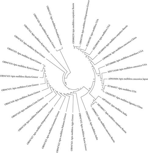 Genetic Profile of Greek Indigenous Honey Bee Populations, Local Extinctions, Geographical Distinction, and Patterns, by Using mtDNA COI and Nuclear CSD Gene Analysis Markers