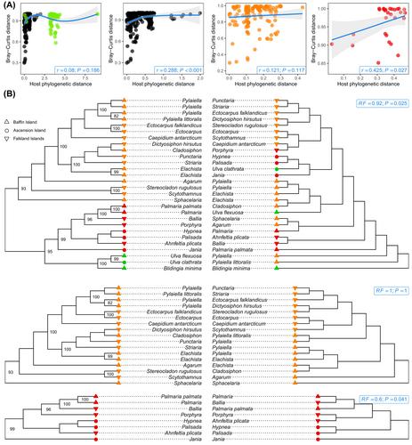 Macroalgal eukaryotic microbiome composition indicates novel phylogenetic diversity and broad host spectrum of oomycete pathogens